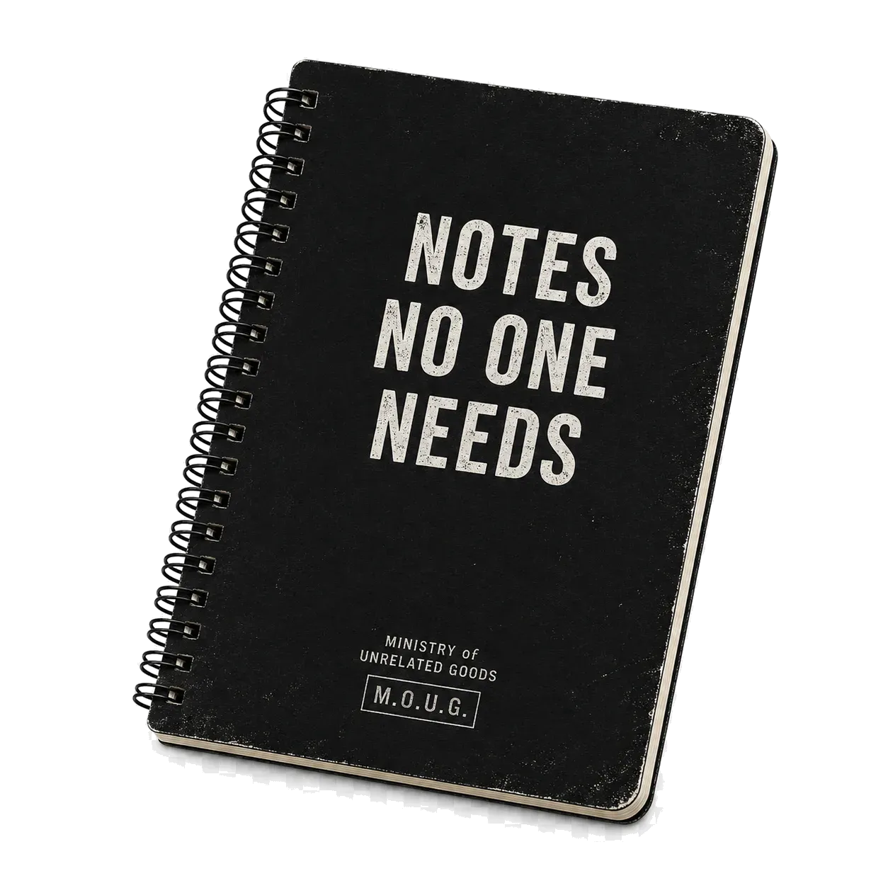 Notes No One Needs Notebook
